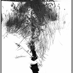 L'andalouse Alfred de Musset/musique Delaporte