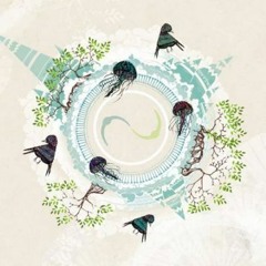 MONONOID "LIVE" @ Connect Open air- Tübingen - 02/09/2017