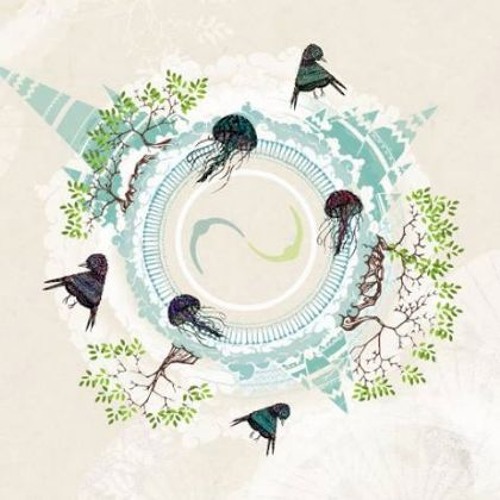 MONONOID "LIVE" @ Connect Open air- Tübingen - 02/09/2017