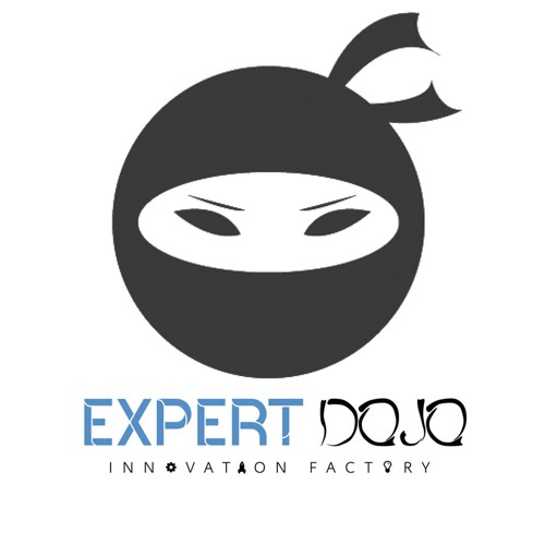 Stream episode 9 Expert Dojo How To Get Investment From Real Estate