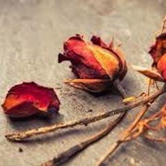 Dead Flowers