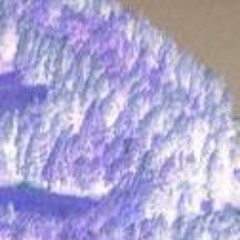 OriT1 - Kasten (NoMaster)