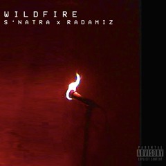 WILDFIRE FREESTYLE ft. RADAMIZ