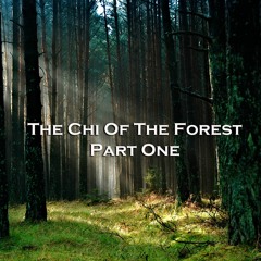 The Chi Of The Forest