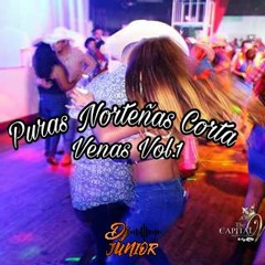 Puras Norteñas Corta Venas Y Que Llegan Al Corazon Vol. 1