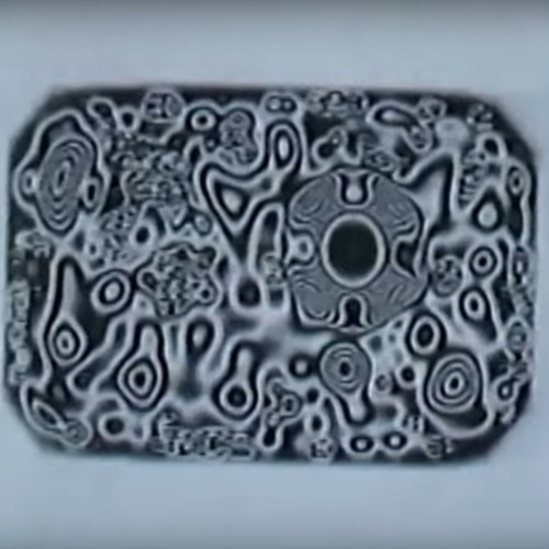 syncc
