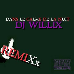 DANS LE CALME DE LA NUIT REMIXx (DJ WILLIX)
