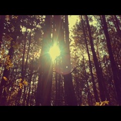 Breaking Rocks in the Hot Sun