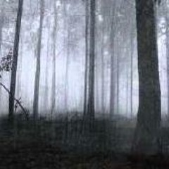 A Forest (The Cure)