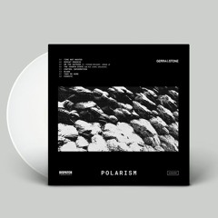 Gerra & Stone 'Polarism' [VINYL] Album - Dispatch Recordings - OUT NOW