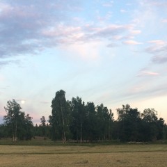 Fågel På Väggen Där