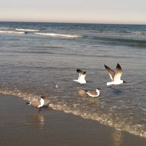 Stream healing nature meditation by verna m lisa by vernamlisa Listen
