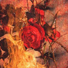 roses, thorns, halos, horns.