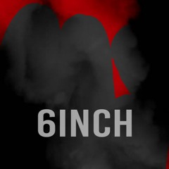 6 Inch