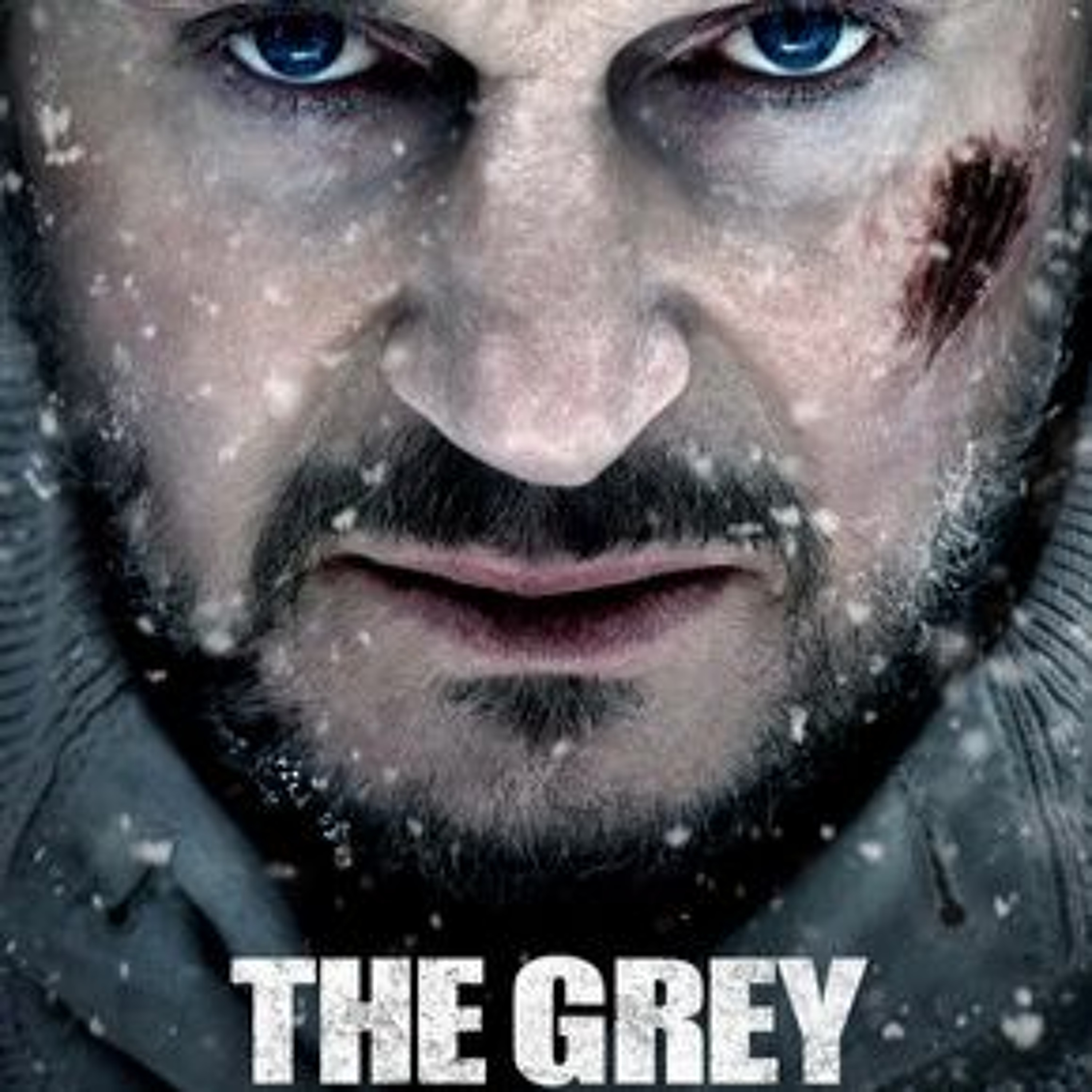 Liam Neeson - The Grey episode artwork