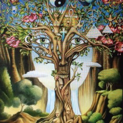 Beats, Trip Hop & Acid Jazz