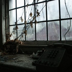 The dance of the rain