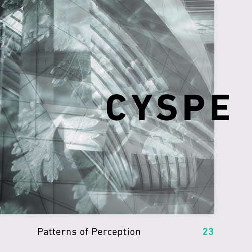Patterns of Perception 23 - Cyspe