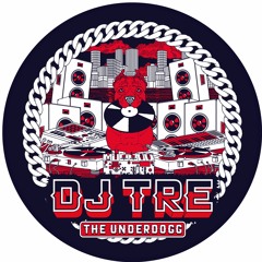 DJ Tre, It's House Hybrid - Taken From The EP 'The Underdogg'