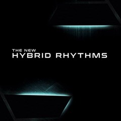 8Dio The New Hybrid Rhythms: "I Could Be Anything" by Troels Folmann