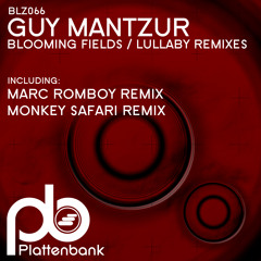 Guy Mantzur - Lullaby (Marc Romboy Really Overwhelmed) Preview