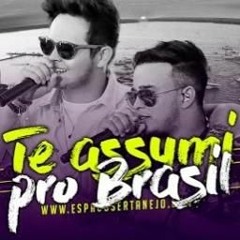 Te assumi pro Brasil (Matheus e Kauan) by Polly