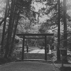 It's a mission ( RYOUSHIN )Ft. Manshaggy [FREE DOWNLOAD]