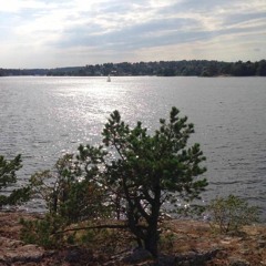 Mr. Fishfingaz - Tahiti Mix (Brown Fat Sessions #003)