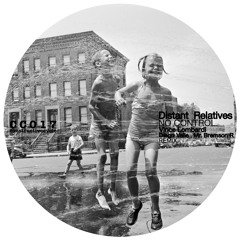 Distant Relatives JHB - Information Blackhole (Original Mix)