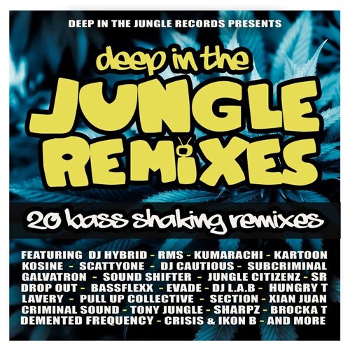 Bassflexx - One Amen A Day (Galvatron Remix)CLIP - Deep In The jungle Records 13/10/2017