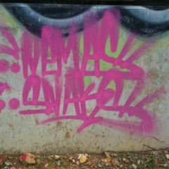 AusRap AyeDeEL Gtown flikn da bean yo