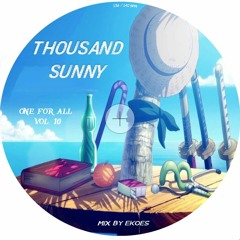 THOUSAND SUNNY // One For All Vol.10