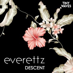 Tiny Waves Releases