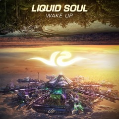 Liquid Soul - Wake Up