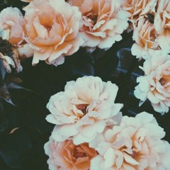 Chỉ đơn giản là "Nứng"