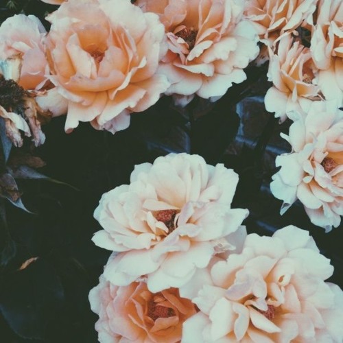 Chỉ đơn giản là "Nứng"