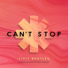 RHCP - Can't Stop (LIVIT Bootleg)