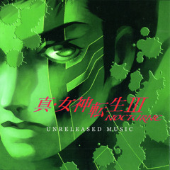 Shin Megami Tensei: Nocturne - Unseen Vortex (Original)