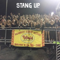 Stang Up (2017 MHS Anthem)