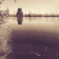 BROKEN(PROD. BY VELES)