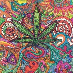 Coastin Freestyle - 3100dlouiee