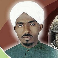 محمد البشير هاشم