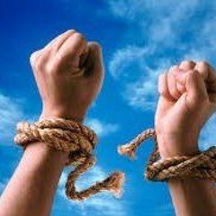 Миша Косяк - Без билета нет балета