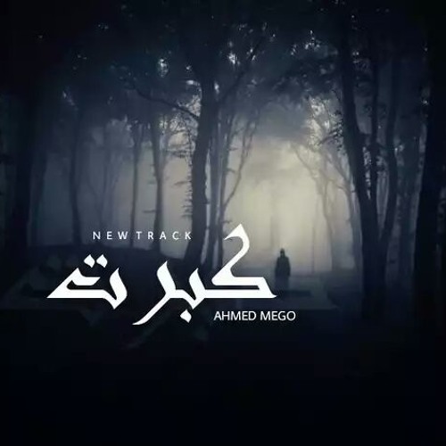 Mego - I grew up | كبرت (Prod by : Ahmed Mego)