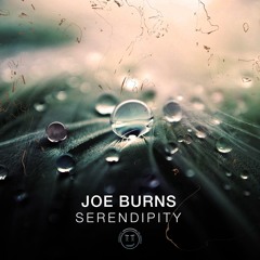 Joe Burns - Serendipity