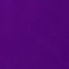 lil body & jodye - Xan In The Fant