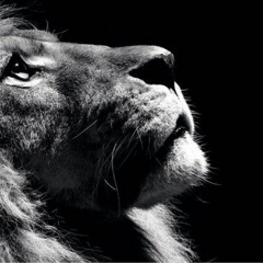 Follow Me (Prod by. Lezter)