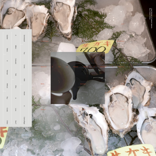 Loke Rahbek & Frederik Valentin 'Somersault' (EMEGO 247)