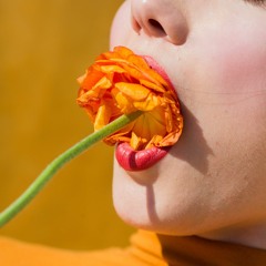 dinner (HAND x tree - 2017.09.20)