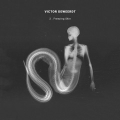 Victor Deweerdt - Freezing skin